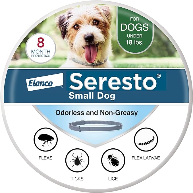 Collar for Dogs Under 18 lbs